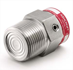Màng đo áp suất Ashcroft Type 330 Diaphragm Seal